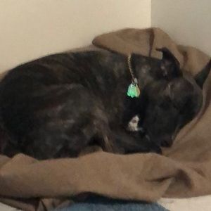 Meet your Posher, Nadine